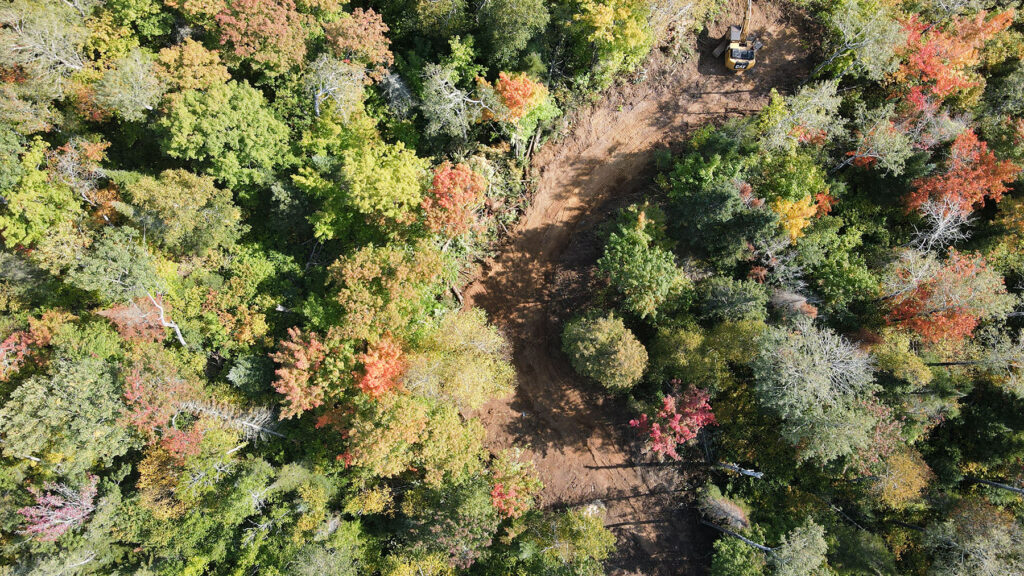 An image of a dirt road in a forest